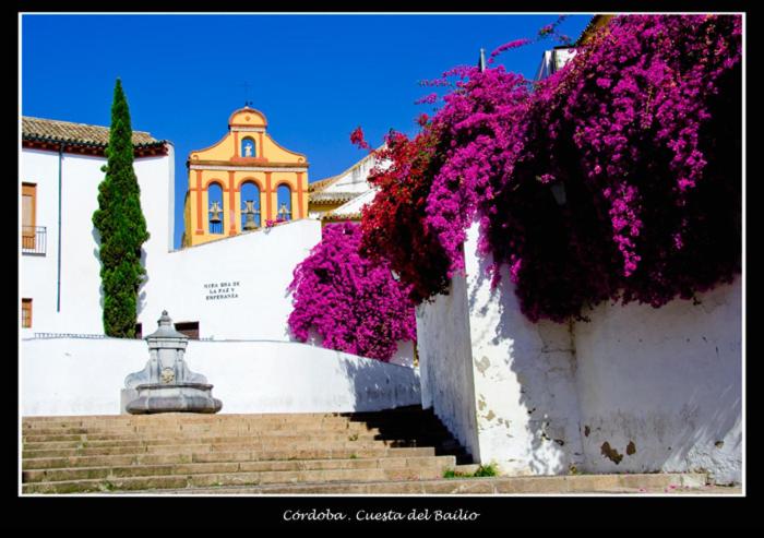 Centro historico-La preferida Cristo de los Faroles-Bailio ...