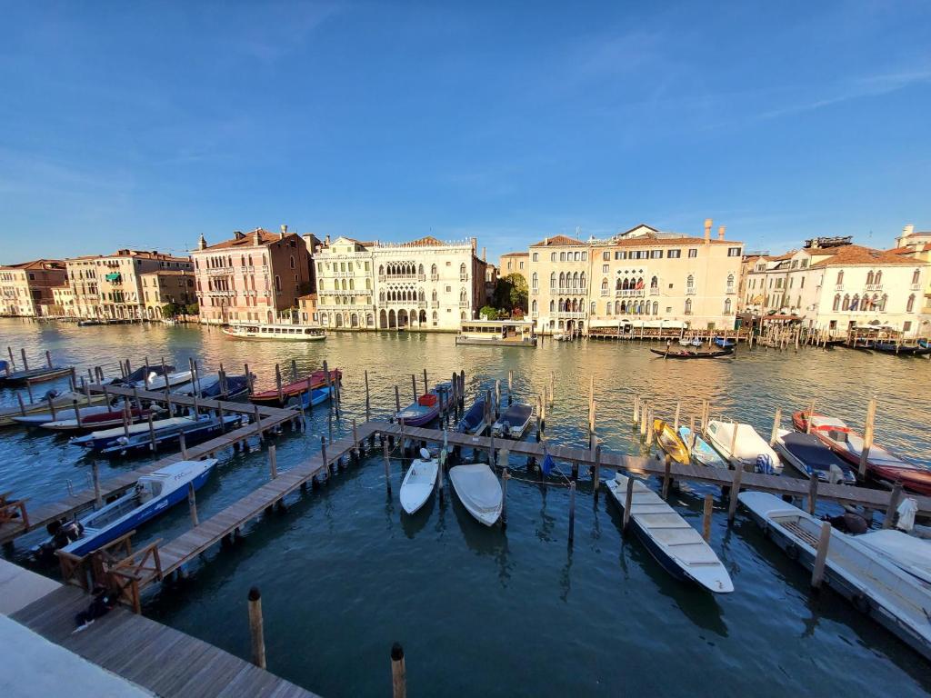 Residenza La Veranda a Rialto - 15