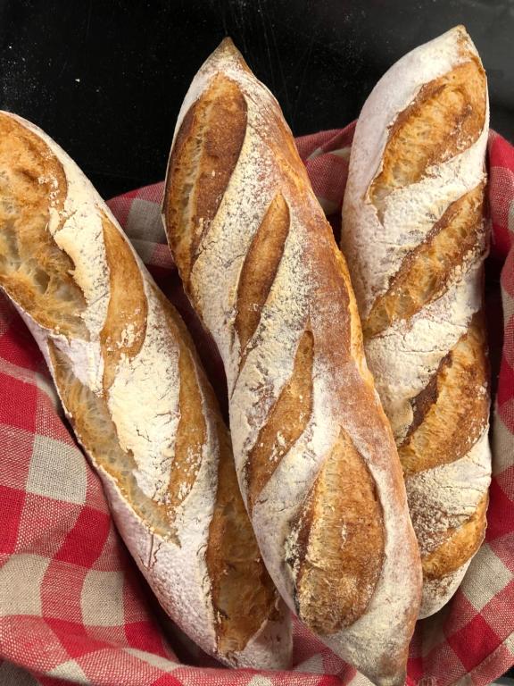 Boutique Hotel NI-MO - Resim 25