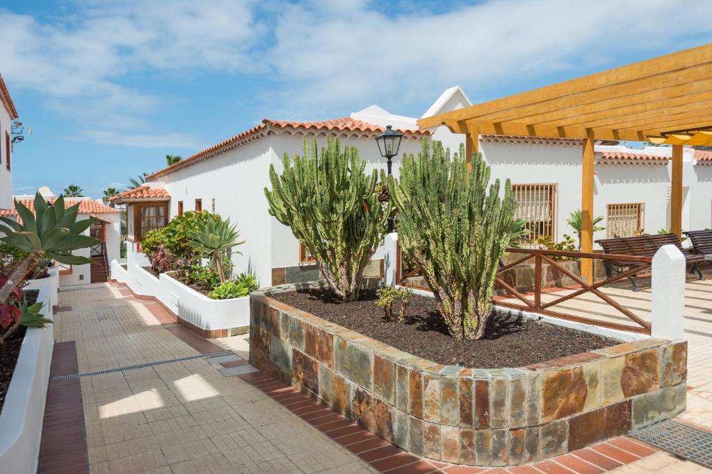 Zahrada ubytování Apartamentos El Beril Costa Adeje