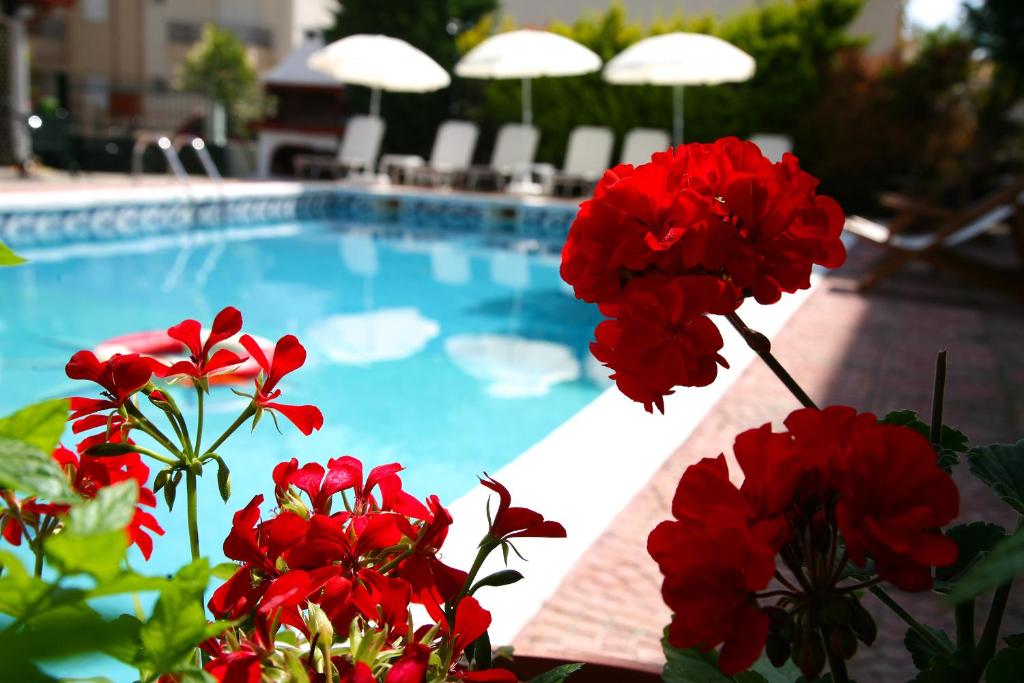 Olympus Hotel Villa Drosos في لتوخورو: مسبح بالورود الحمراء أمامه