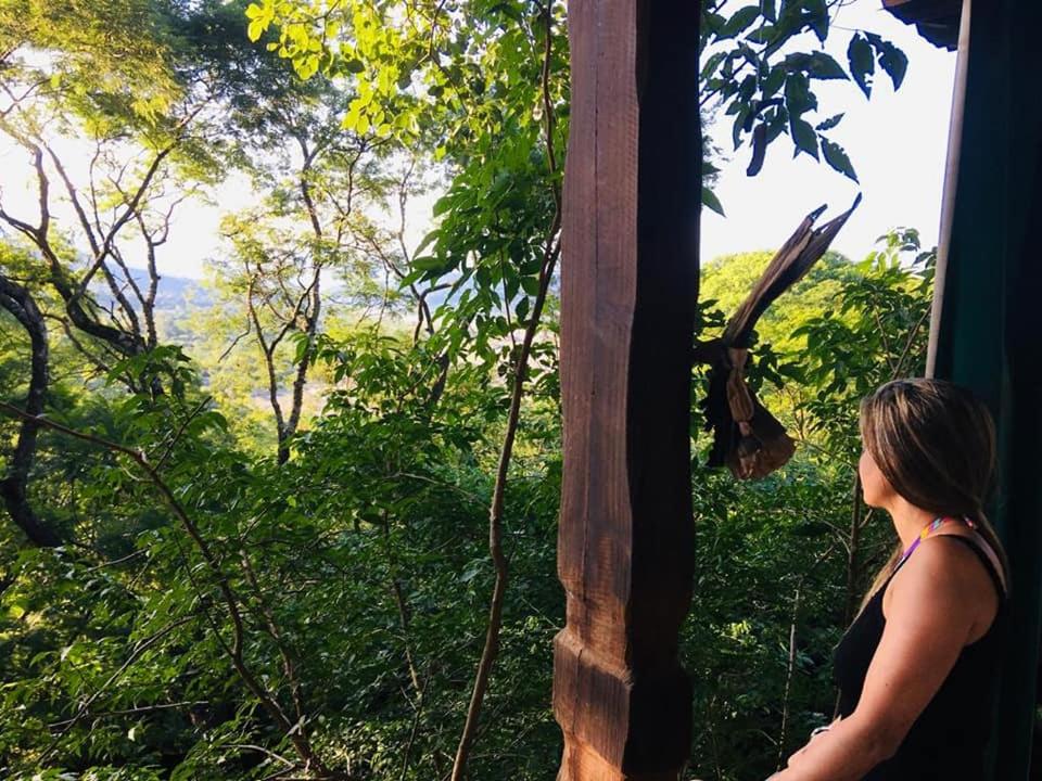 Namasté Casa Rural في Vaqueros: امرأة تبحث من نافذة في غابة