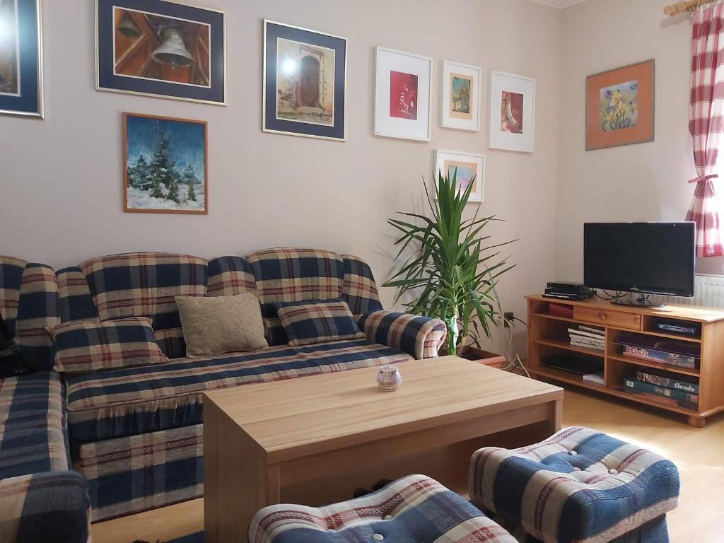 TV a/nebo společenská místnost v ubytování Chalupa u Valiky