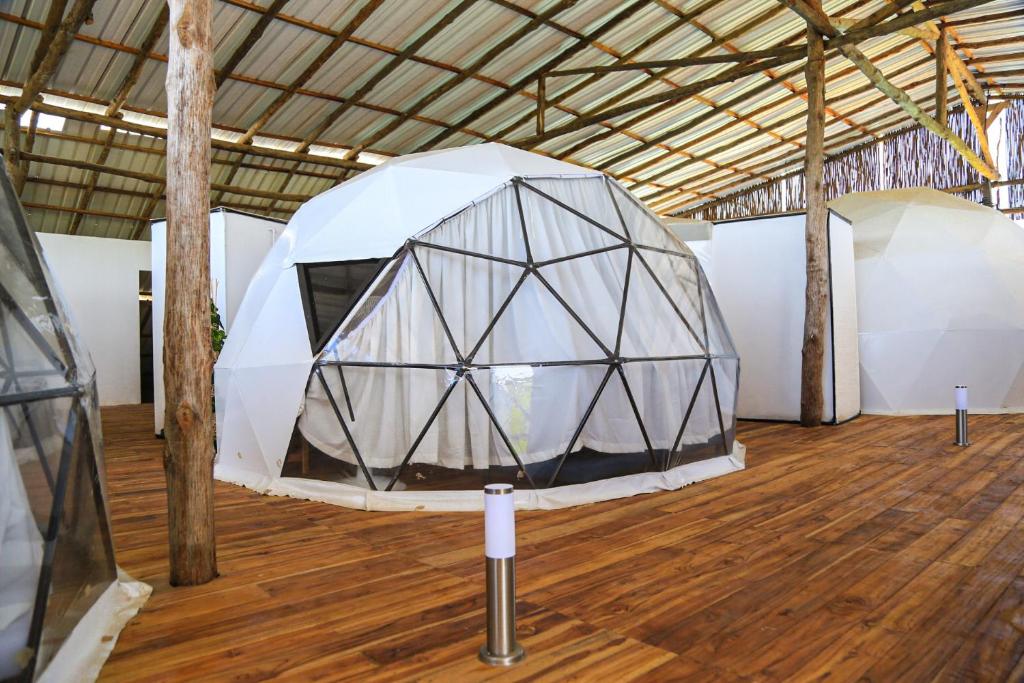 Fotografie z fotogalerie ubytování La Cabaña Glamping Geronimo v destinaci Playa Blanca