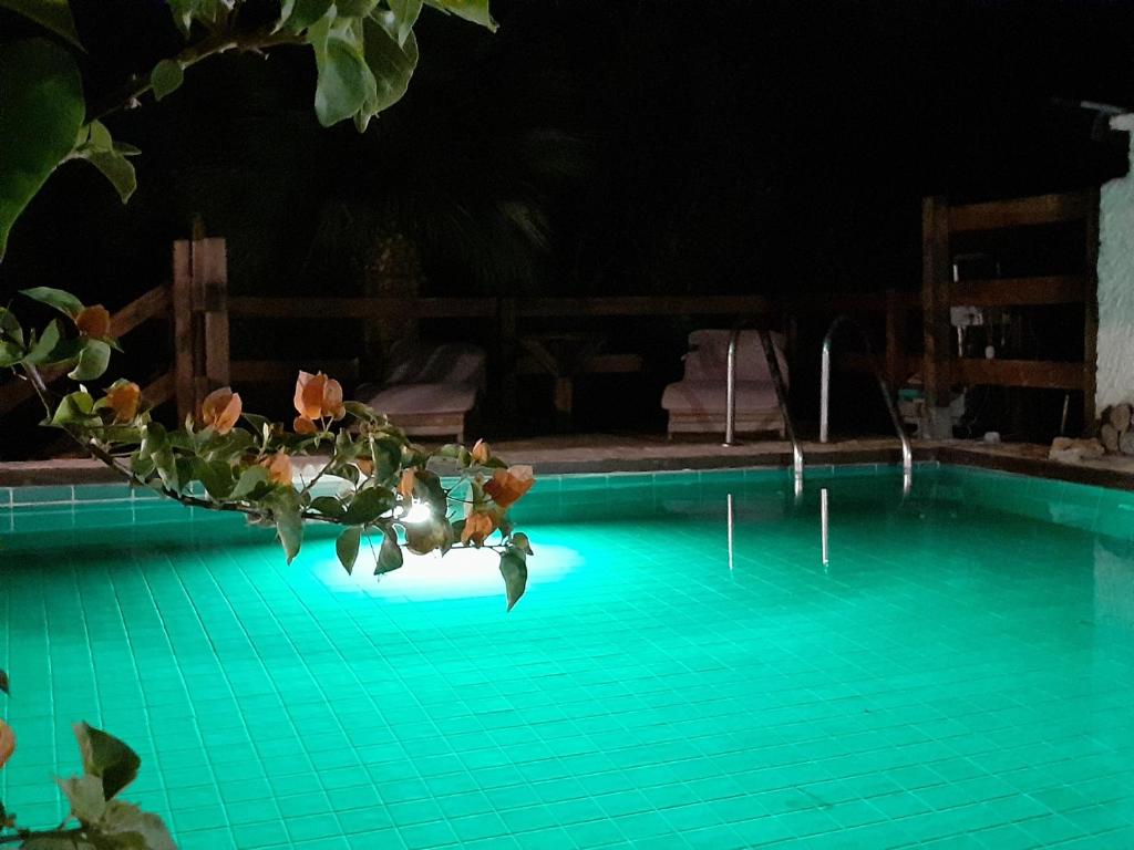 Swimming pool sa o malapit sa Coral Riviera Sardinia villa & cottage
