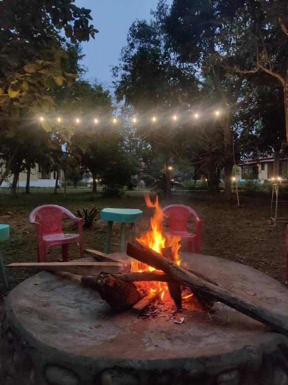 Fotografie z fotogalerie ubytování Bardia Forest Resort v destinaci Bardiyā