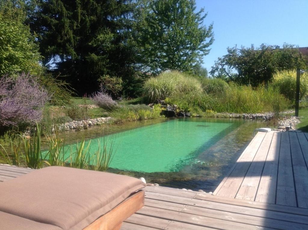 einen Pool mit grünem Wasser neben einer Holzterrasse in der Unterkunft COTTAGE-GITE COEUR DE SUNDGAU in Leymen