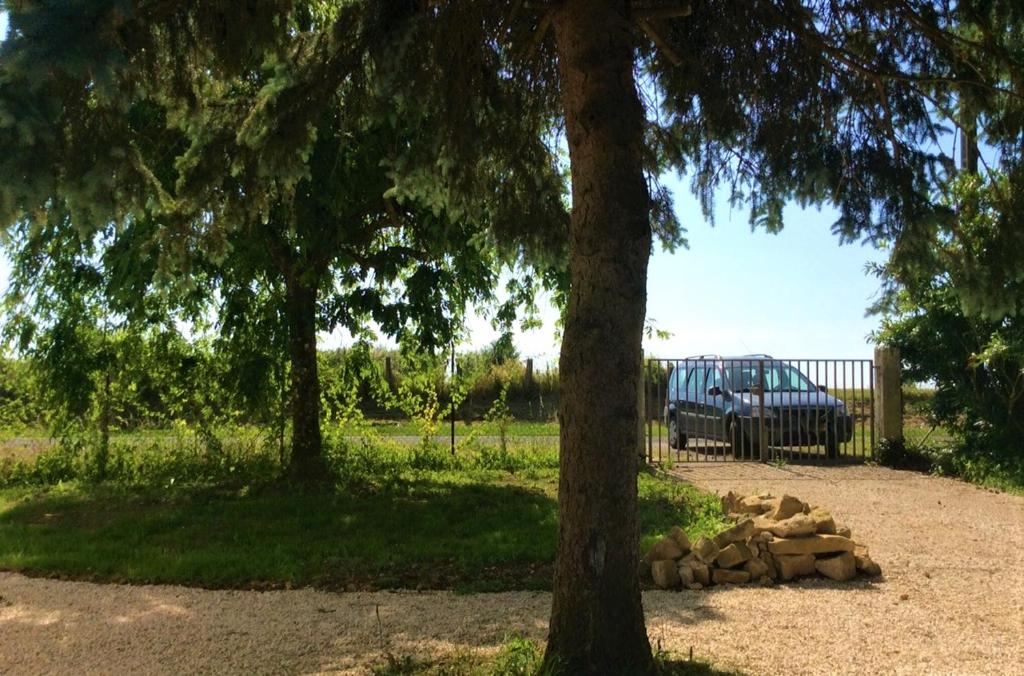 Zahrada ubytování L'Arbre à Cabane