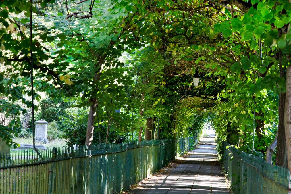 Victoria Square Hotel Clifton Village - Resim 24