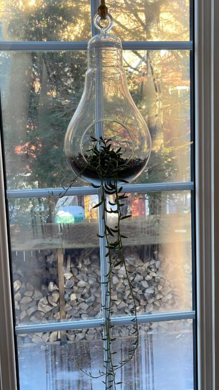 a glass jar with a plant inside of a window at Le Pimbina in Mont-Tremblant