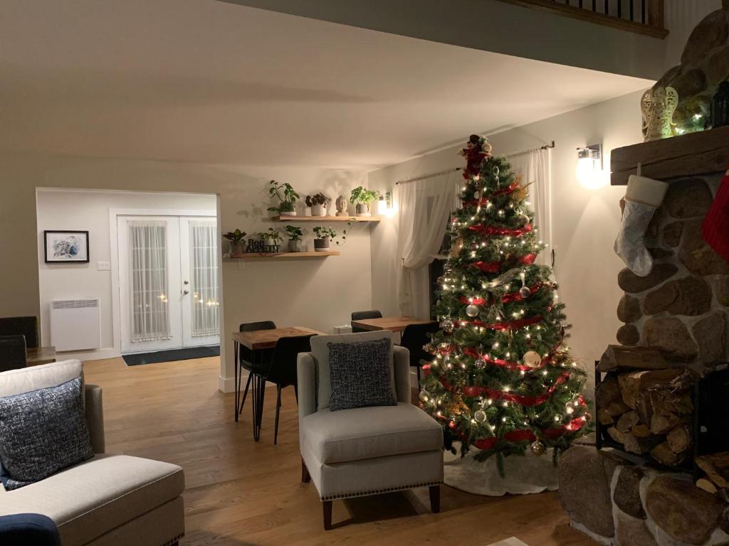 a christmas tree in a living room with a fireplace at Le Pimbina in Mont-Tremblant