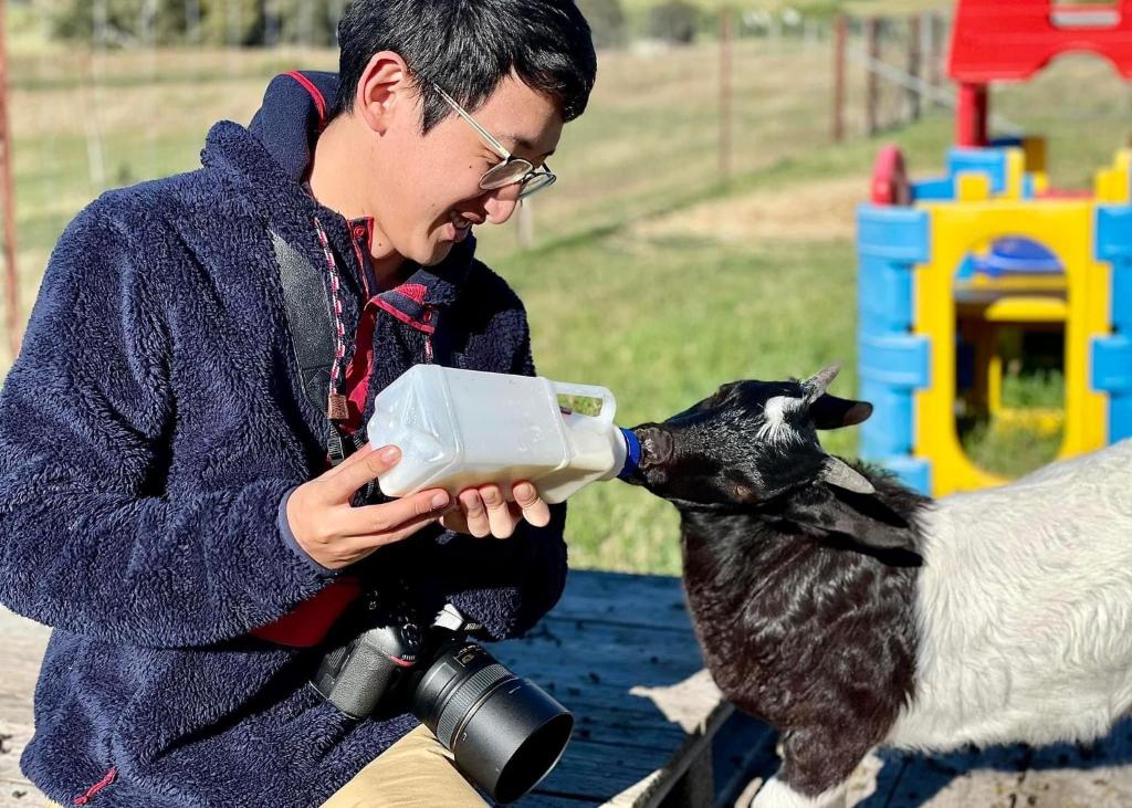 Domácí mazlíčci ubytovaní s hosty v ubytování Glenview Alpaca Farm