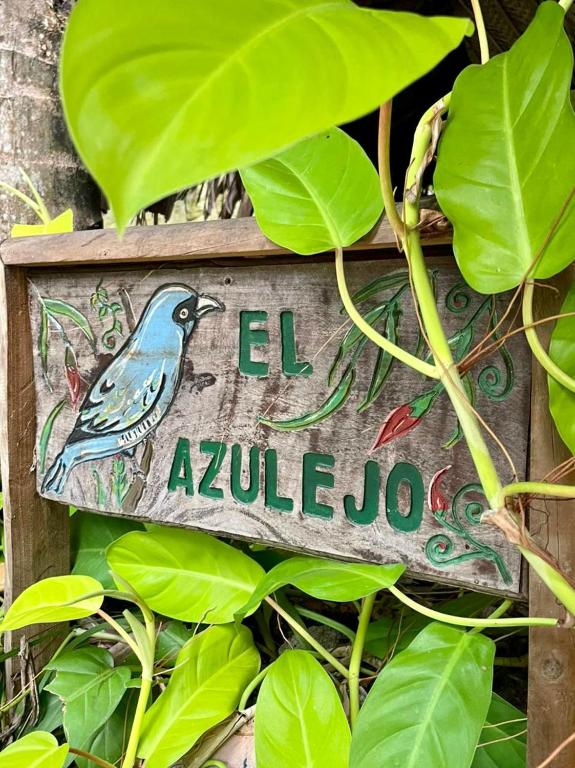 Certificato, attestato, insegna o altro documento esposto da Eco Hostal Yuluka