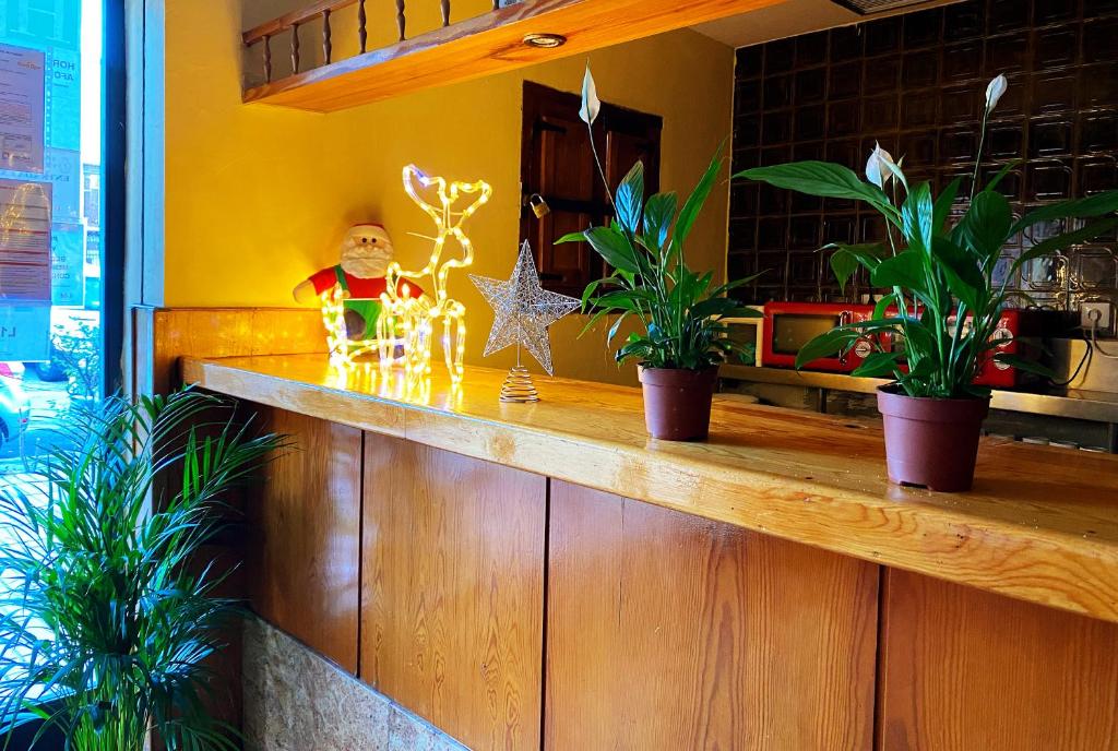 a counter with potted plants on top of it at Hostel Napoles in Madrid