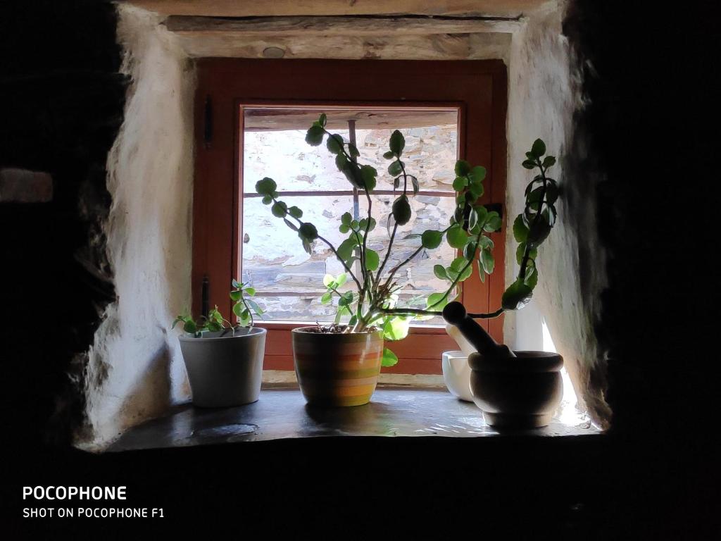 Fotografie z fotogalerie ubytování Casa Rural Sobre Fábulas v destinaci Prádena de Atienza