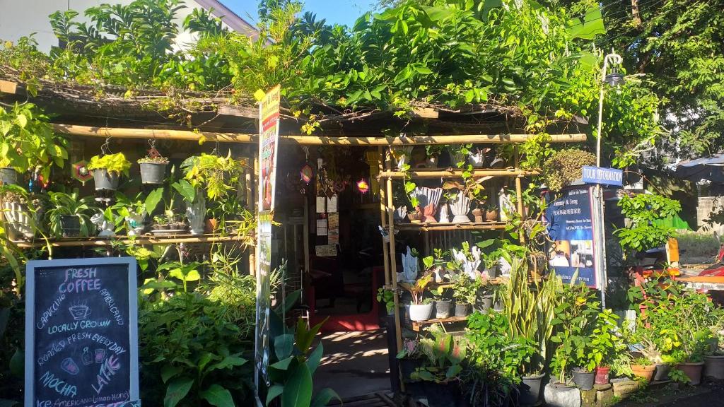 a garden shop with plants in the doorway at Jimmy and Jeng Homestay in Chiang Mai