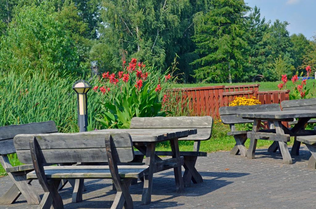 Zahrada ubytování Hotel Zur Schmiede