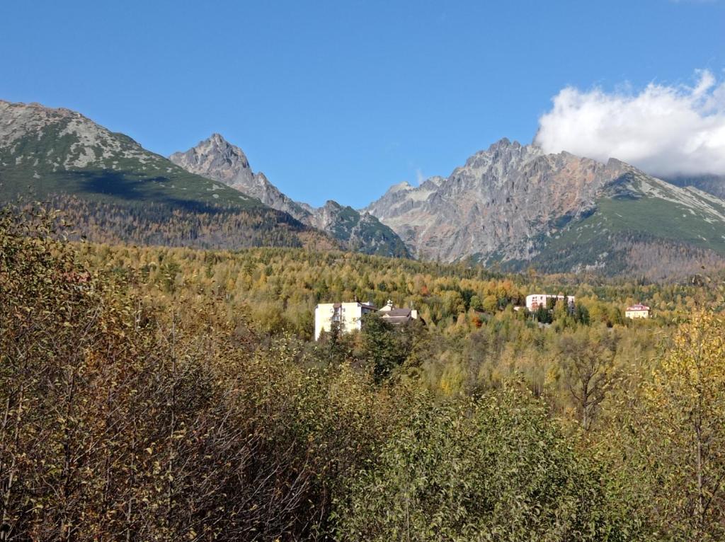 Táj az apartman közelében