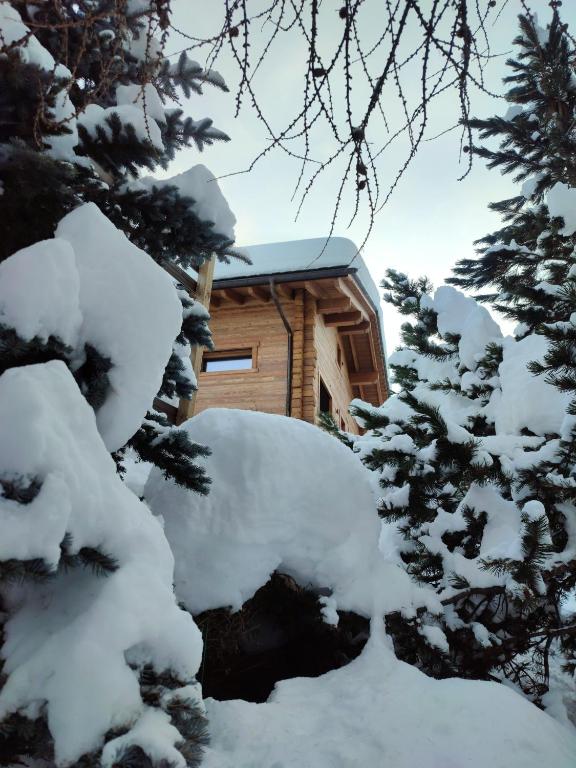 Zdjęcie z galerii obiektu Nivis apartment w Livigno