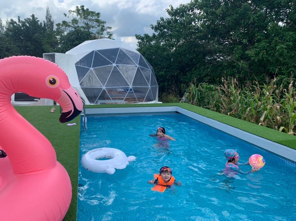 un grupo de personas en una piscina con un flamenco inflable en Sleepy Lagoon, en Mu Si