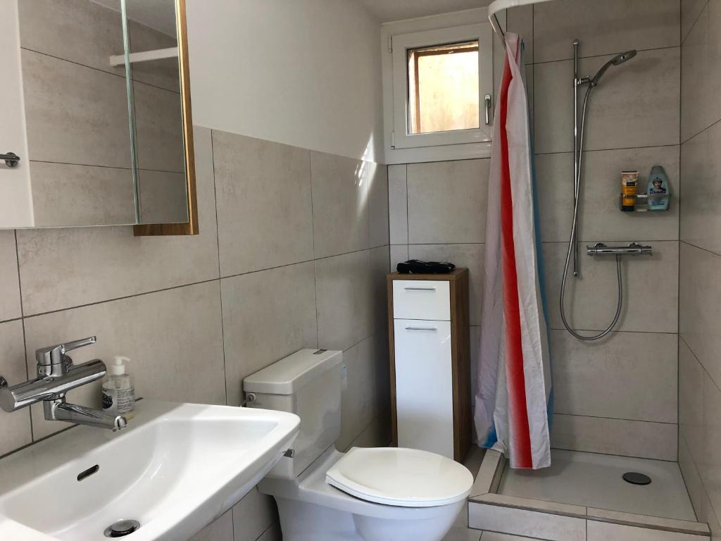 Koupelna v ubytování Chalet Ruestel