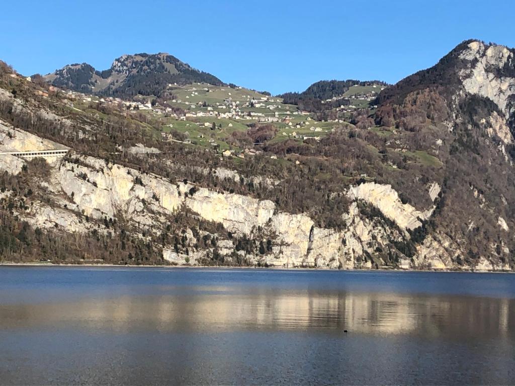 Příroda nedaleko apartmánu