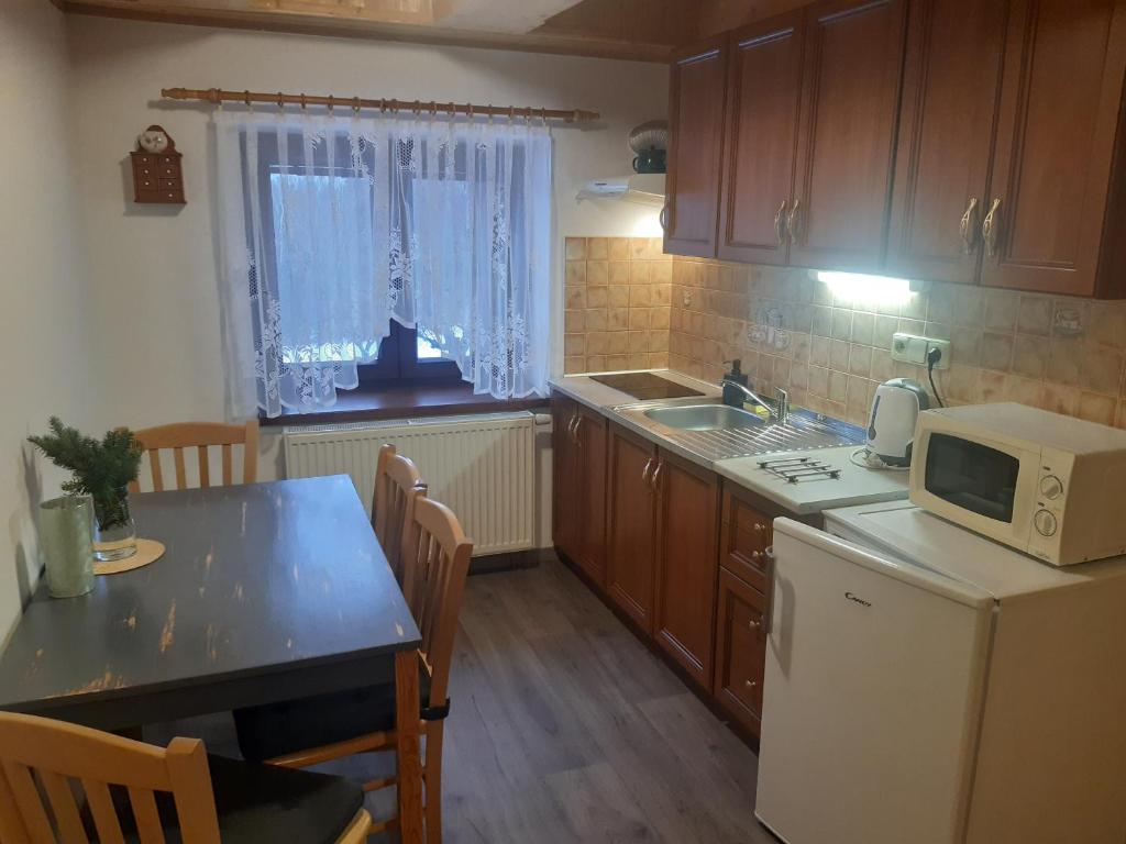 Kuchyň nebo kuchyňský kout v ubytování Apartmány Roudnice