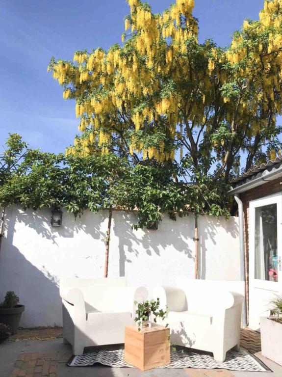 Little Beach House - Studio With Garden View