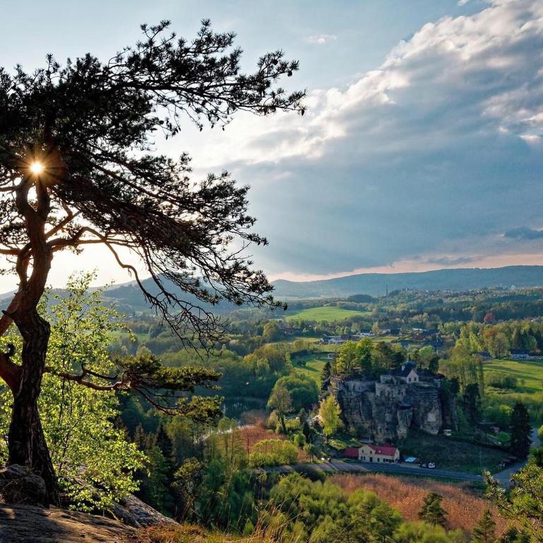 uma árvore numa colina com um castelo à distância em Chata pod hradem em Sloup