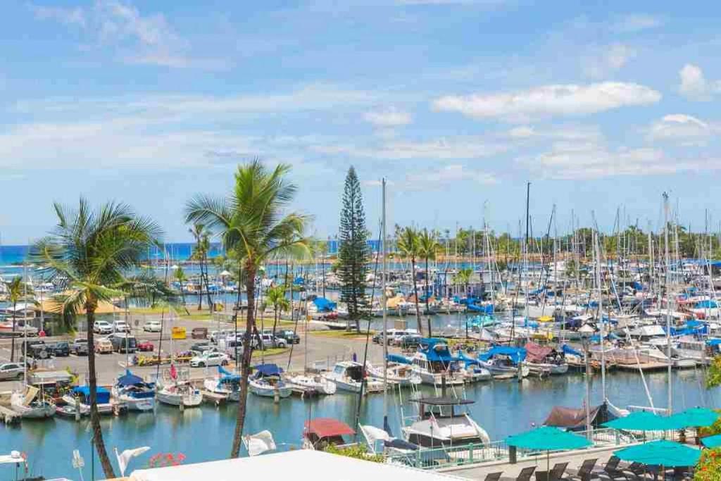 einen Yachthafen mit Booten im Wasser und Palmen in der Unterkunft Ilikai Tower 333 Yacht Harbor View 1BR in Honolulu