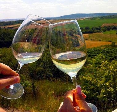 two people holding up glasses of white wine at Dům V Podzámčí in Mělník