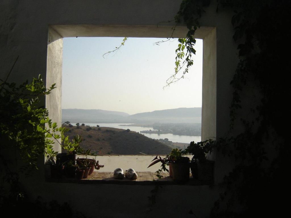 Příroda nedaleko bed and breakfast