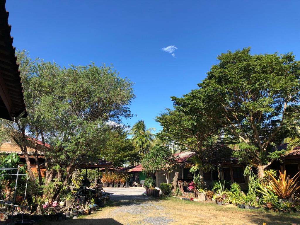 Pop riverside trat - 17