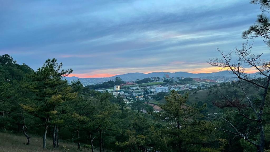 a view of a city from a hill with trees at Villa Délight House “Stay&Chill” in Da Lat