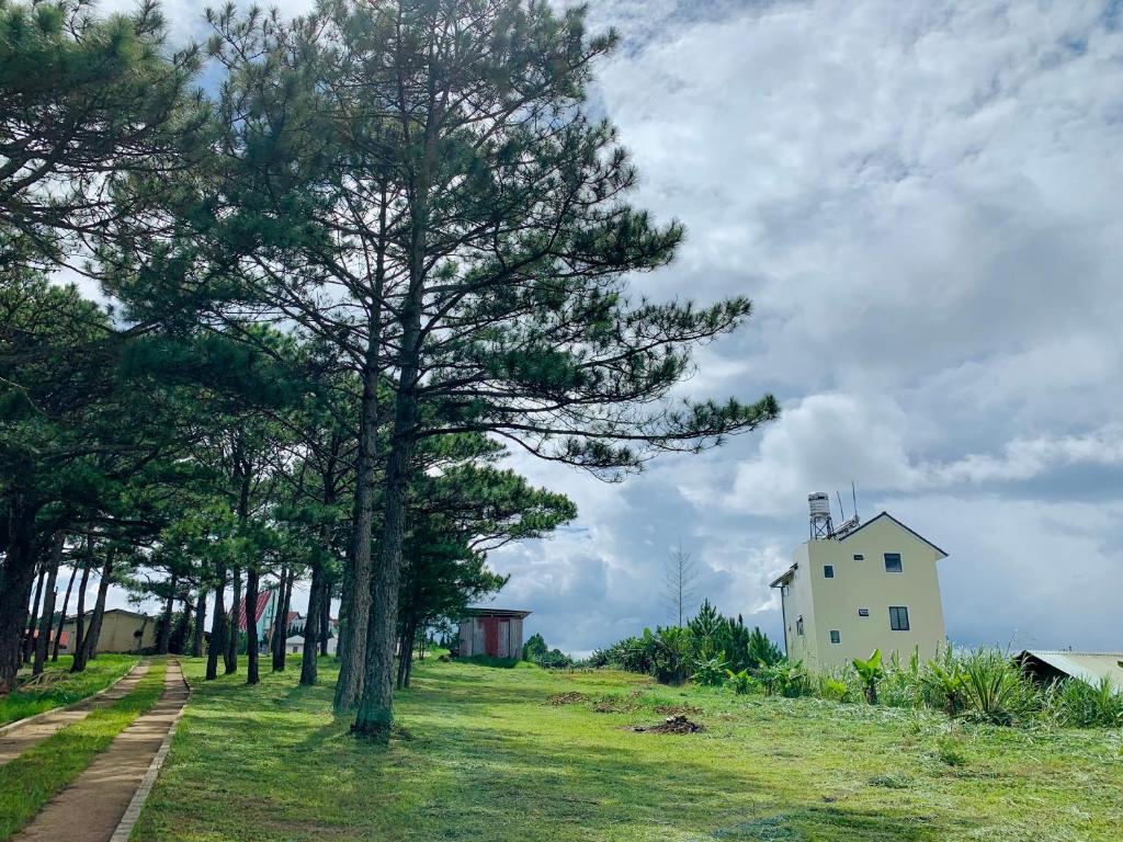 a tree on the side of a hill with a house at Villa Délight House “Stay&Chill” in Da Lat