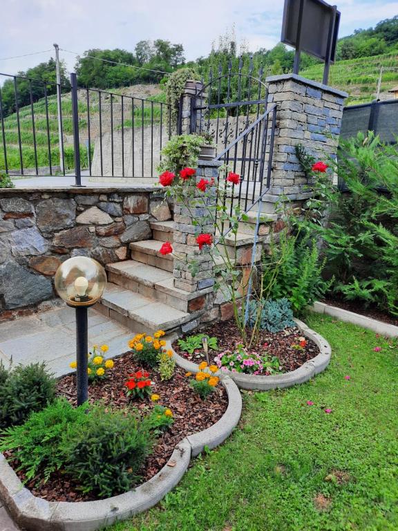 Zahrada ubytování Il Vigneto