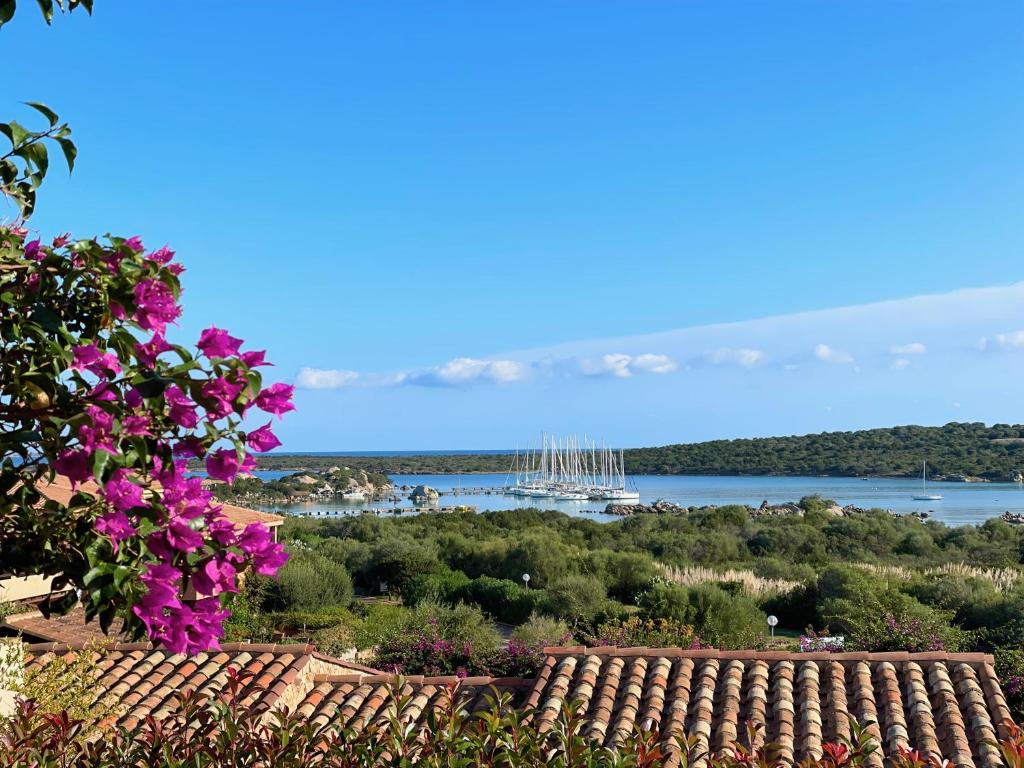 a view from the roof of a house with pink flowers at Casa Leo - Villaggio Baia De Bahas in Golfo Aranci