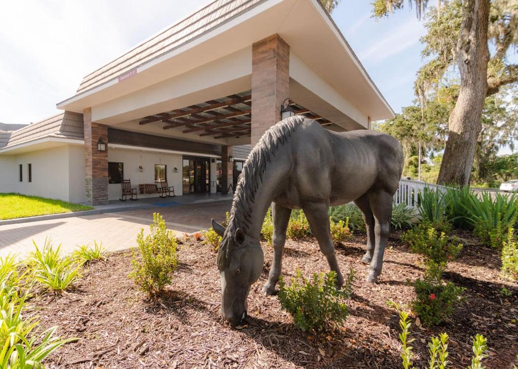 a horse grazing in front of a house at Equus Inn I75 in Ocala