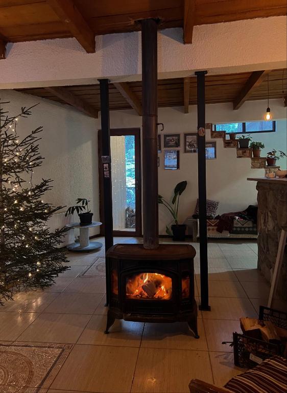 Fotografie z fotogalerie ubytování Hotel Ailama Mestia v destinaci Mestia