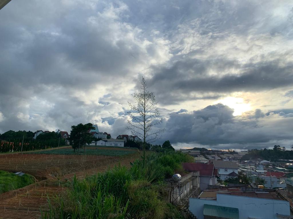 a cloudy sky with a tree in a city at Villa Délight House “Stay&Chill” in Da Lat