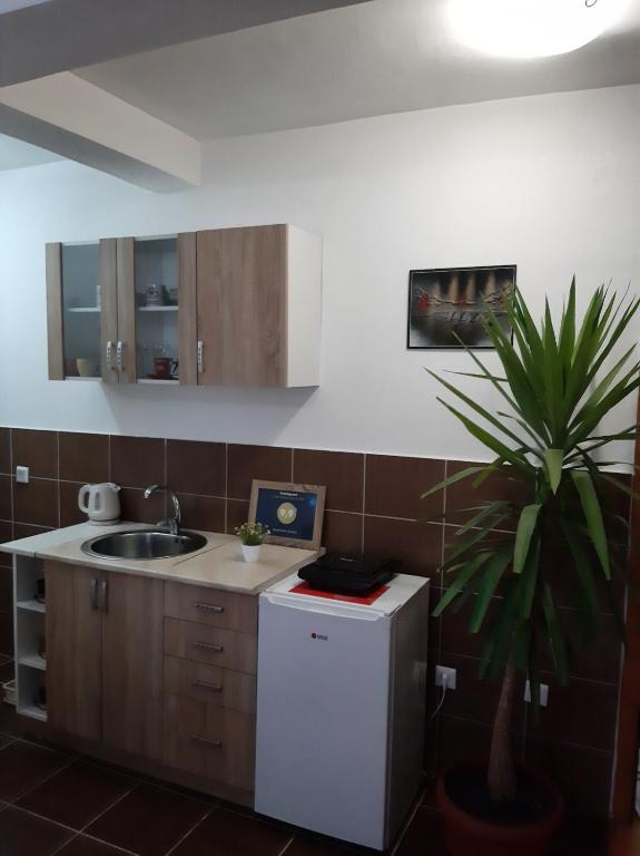 Apartman Andrić - Appartamento