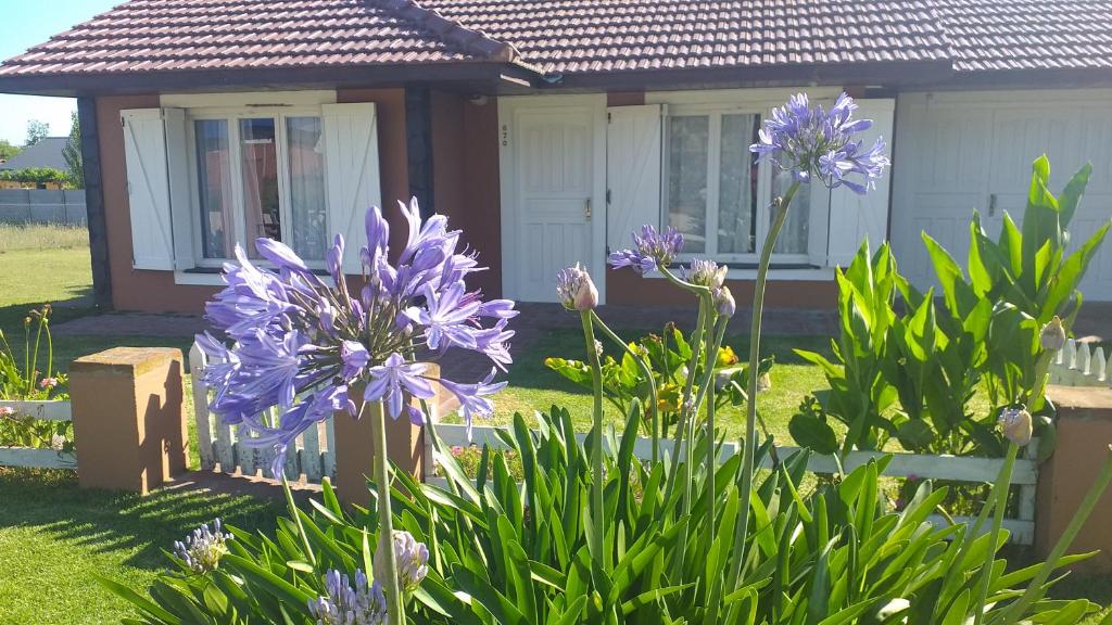 a garden with purple flowers in front of a house at Descanso,verde,paz in Mar del Plata