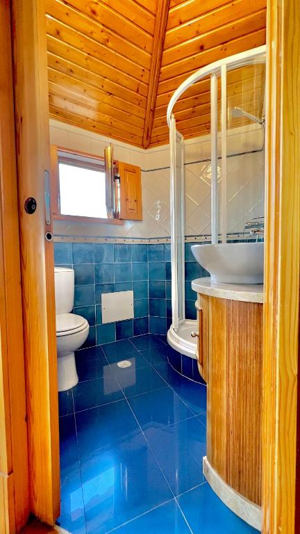 uma casa de banho em azulejos azuis com um WC e um lavatrio em Casa do Rio Alva em Arganil