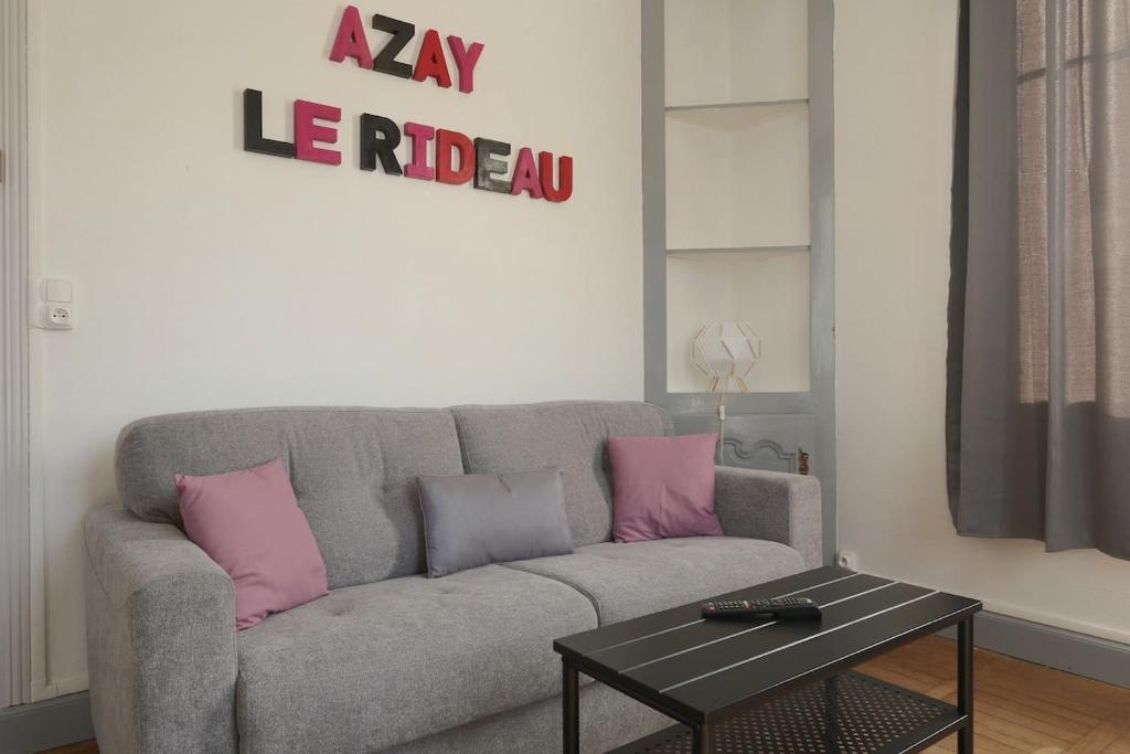 a living room with a gray couch and pink pillows at Chez Benjamin - Face au château d'Azay-le-Rideau in Azay-le-Rideau