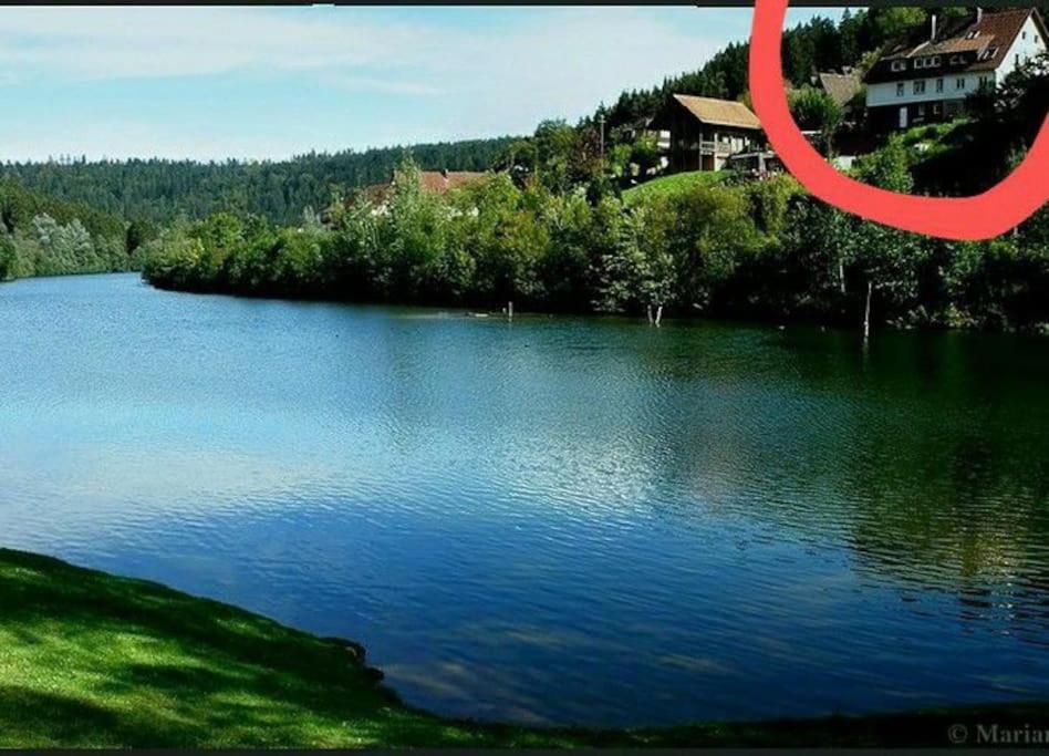 a picture of a lake with a red ring around it at Große Ferienwohnung am Badesee in Erzgrube