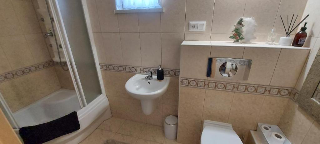 Koupelna v ubytování Lawendowe Wzgórze 21 dom z jacuzzi na wyłączność
