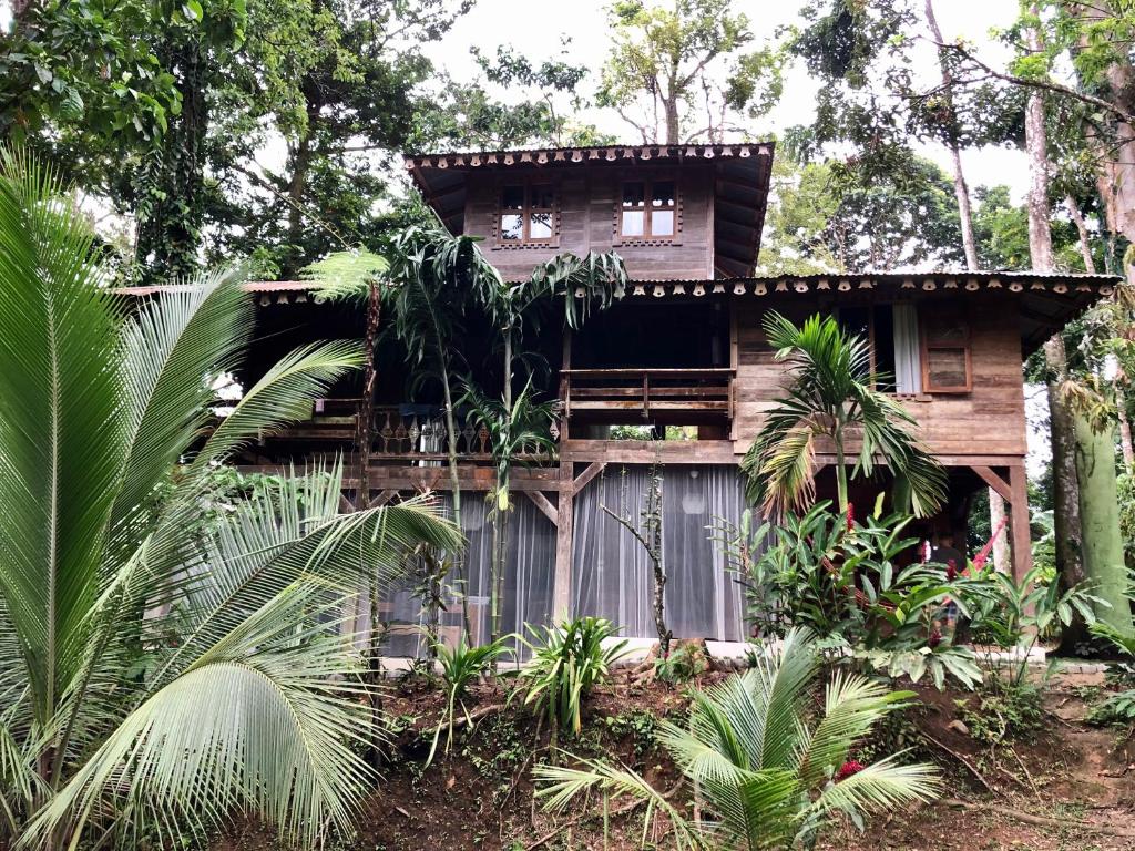 a wooden house in the middle of a forest at Casa de la Trepada in Cocles