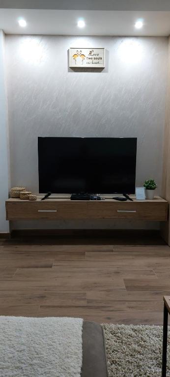 Televízia a/alebo spoločenská miestnosť v ubytovaní Apartman Vesna