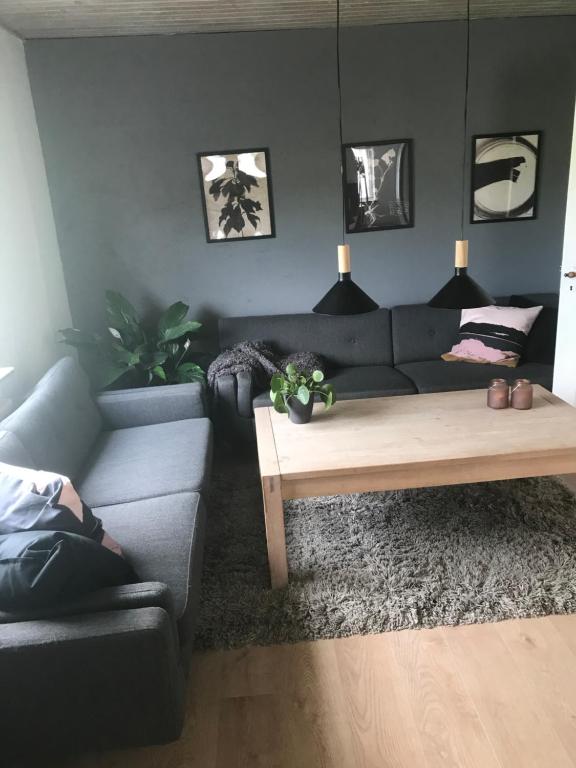 Posezení v ubytování Hus ved skov
