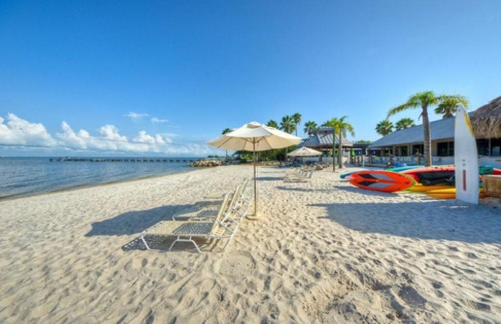 - une plage avec des chaises longues, un parasol et l'océan dans l'établissement Charming one bedroom resort-style studio with pool and beach access, à Ruskin